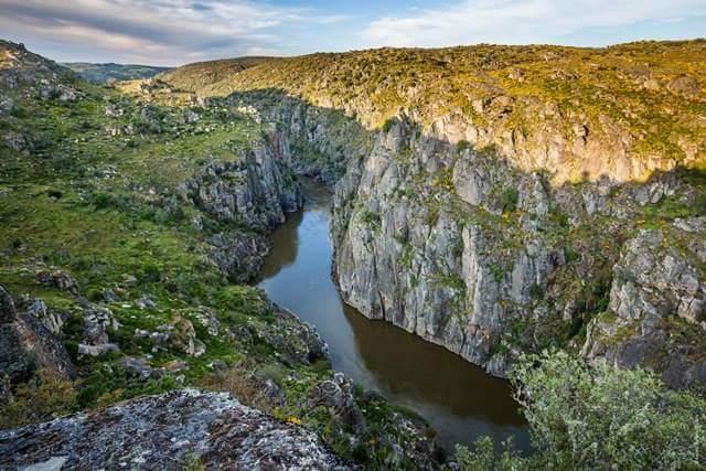 Flor Do Douro - Comercio E Hotelaria, Lda Міранда-ду-Дору Екстер'єр фото
