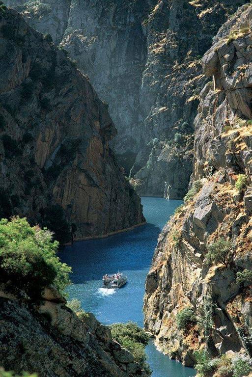 Flor Do Douro - Comercio E Hotelaria, Lda Міранда-ду-Дору Екстер'єр фото