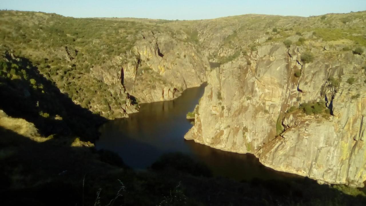 Flor Do Douro - Comercio E Hotelaria, Lda Міранда-ду-Дору Екстер'єр фото