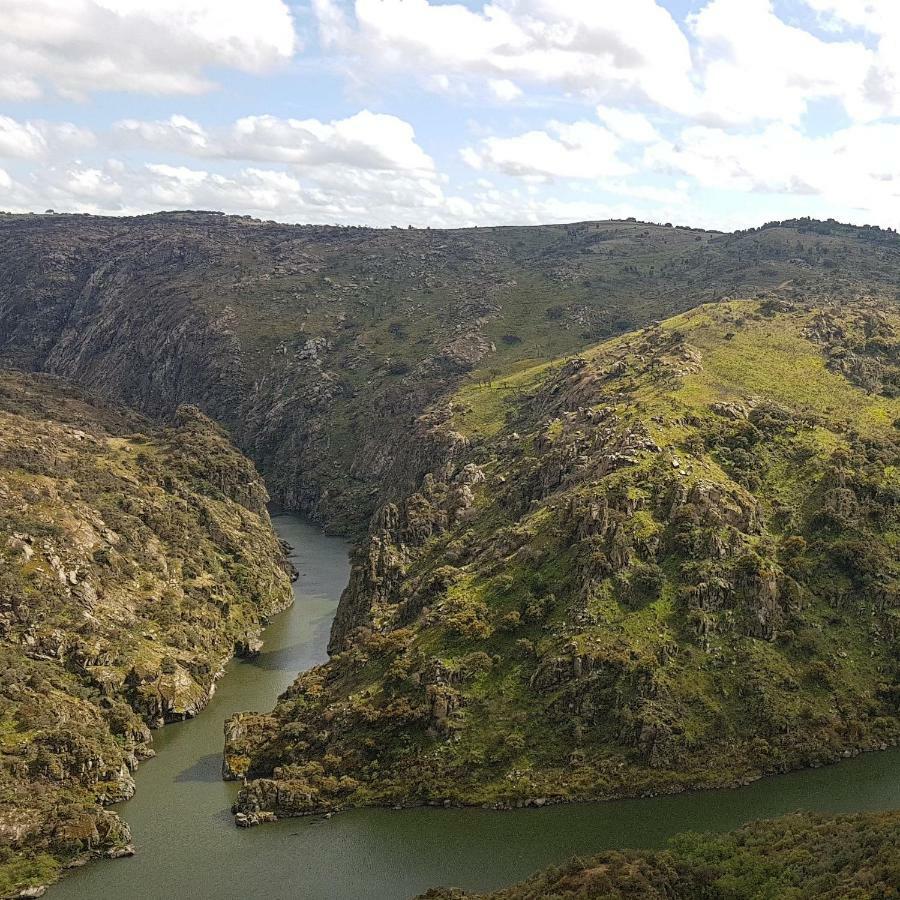 Flor Do Douro - Comercio E Hotelaria, Lda Міранда-ду-Дору Екстер'єр фото
